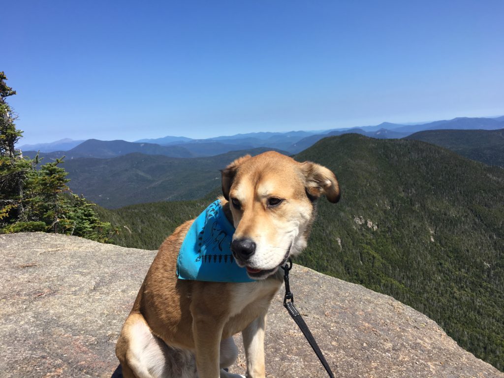 Pemi Loop - Hiking with Dogs