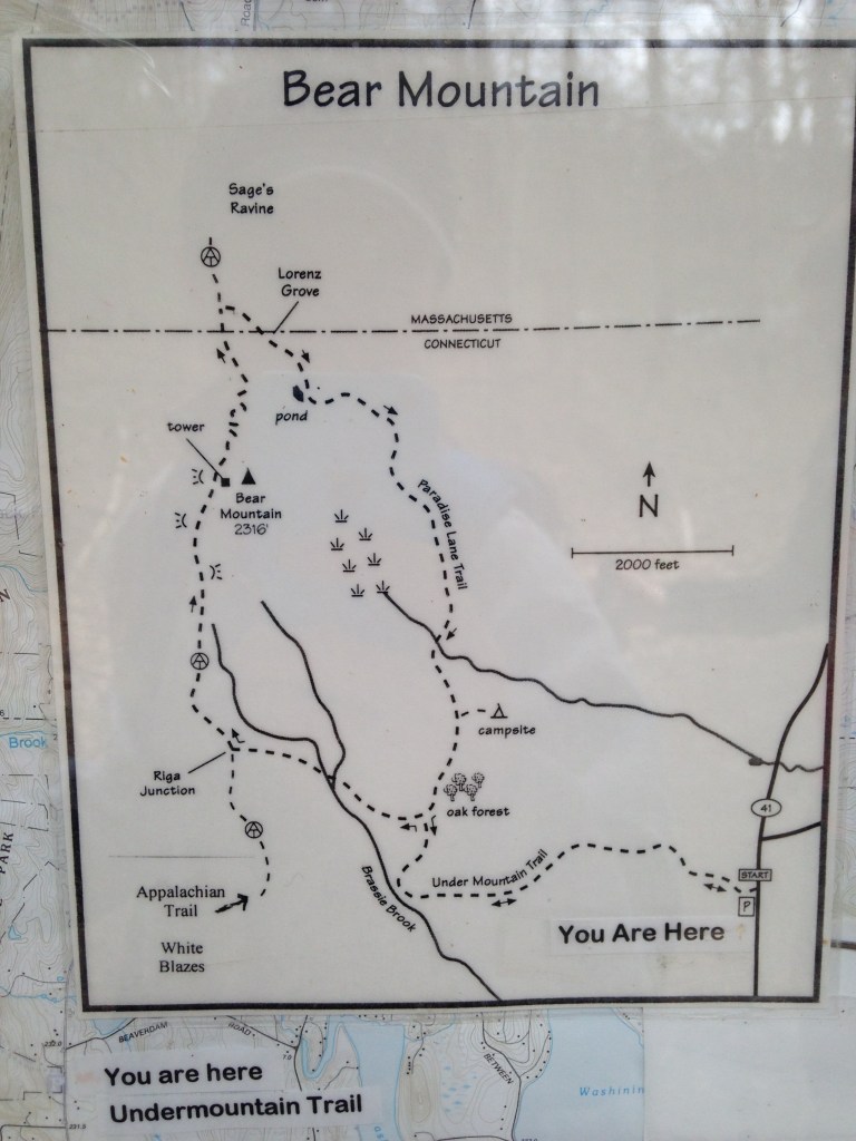 Bear Mountain Ct Trail Map